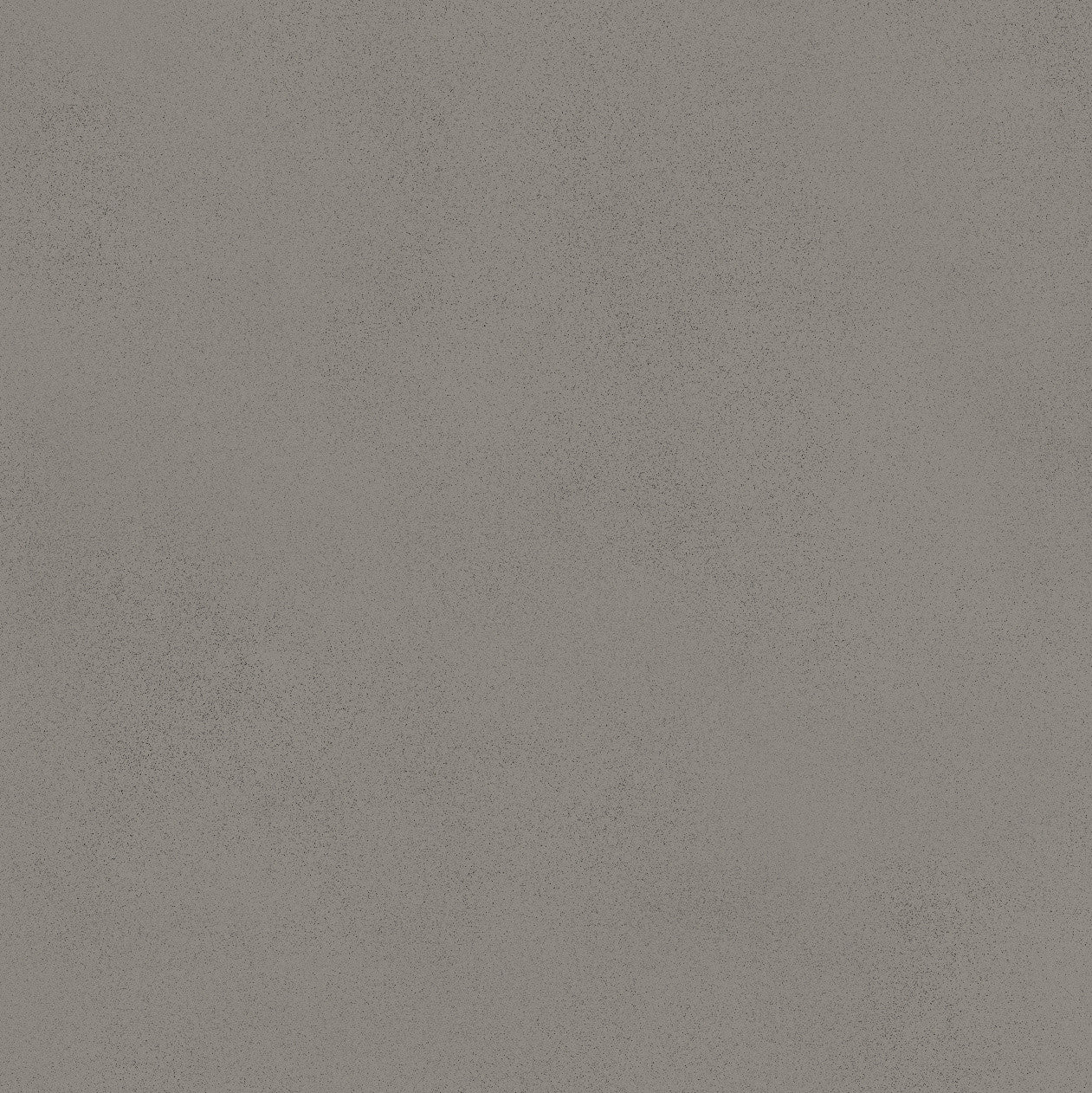 Carrelage effet Béton Gris Ombre 80x80x0,9 cm Mat Montera - Sol et mur intérieur