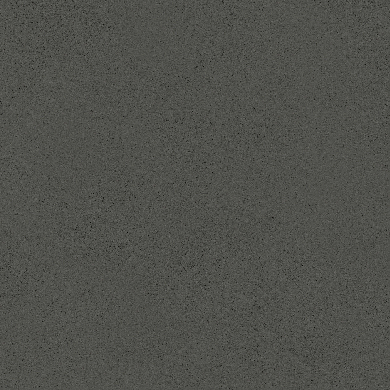 Carrelage effet Béton Gris Nuit 80x80x0,9 cm Mat Montera - Sol et mur intérieur