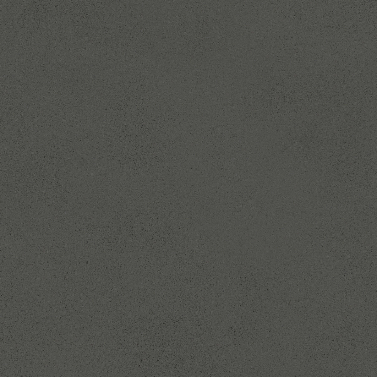 Carrelage effet Béton Gris Nuit 80x80x0,9 cm Mat Montera - Sol et mur intérieur