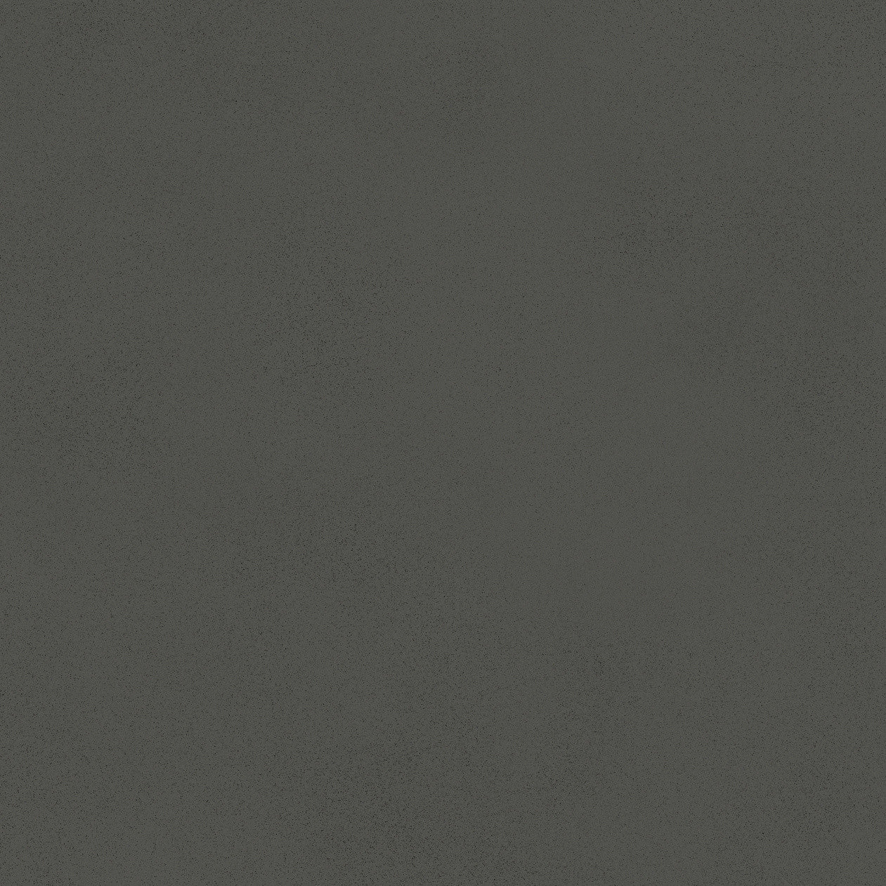Carrelage effet Béton Gris Nuit 80x80x0,9 cm Mat Montera - Sol et mur intérieur