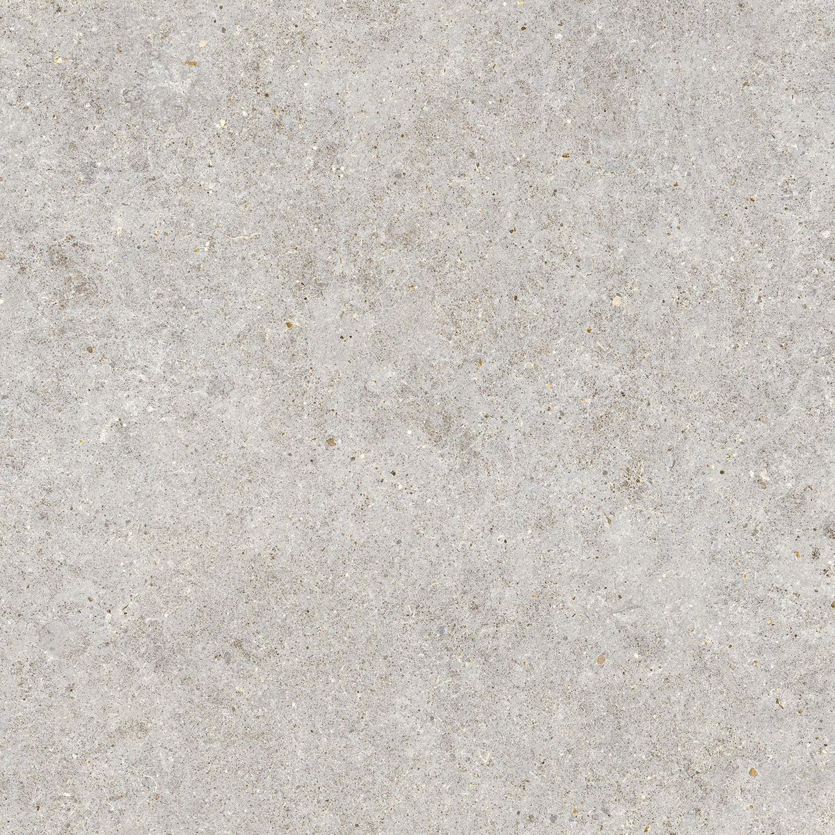Carrelage effet Pierre Calcaire Gris Galet 80x80x0,9 cm Mat Domella - Sol et mur intérieur