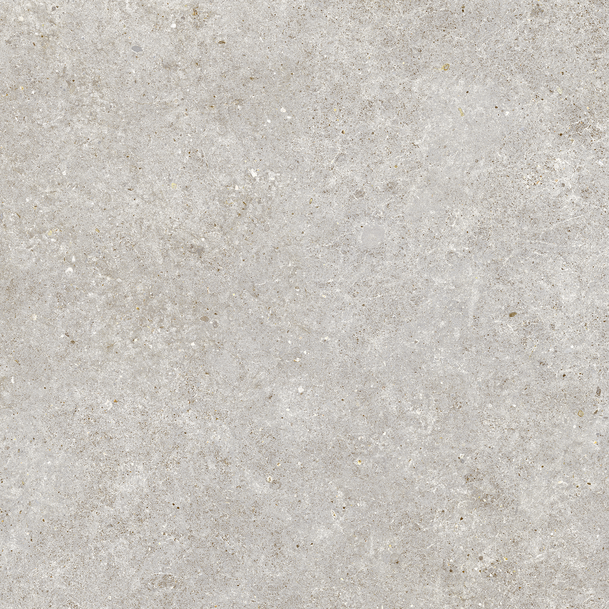 Carrelage effet Pierre Calcaire Gris Galet 80x80x0,9 cm Mat Domella - Sol et mur intérieur