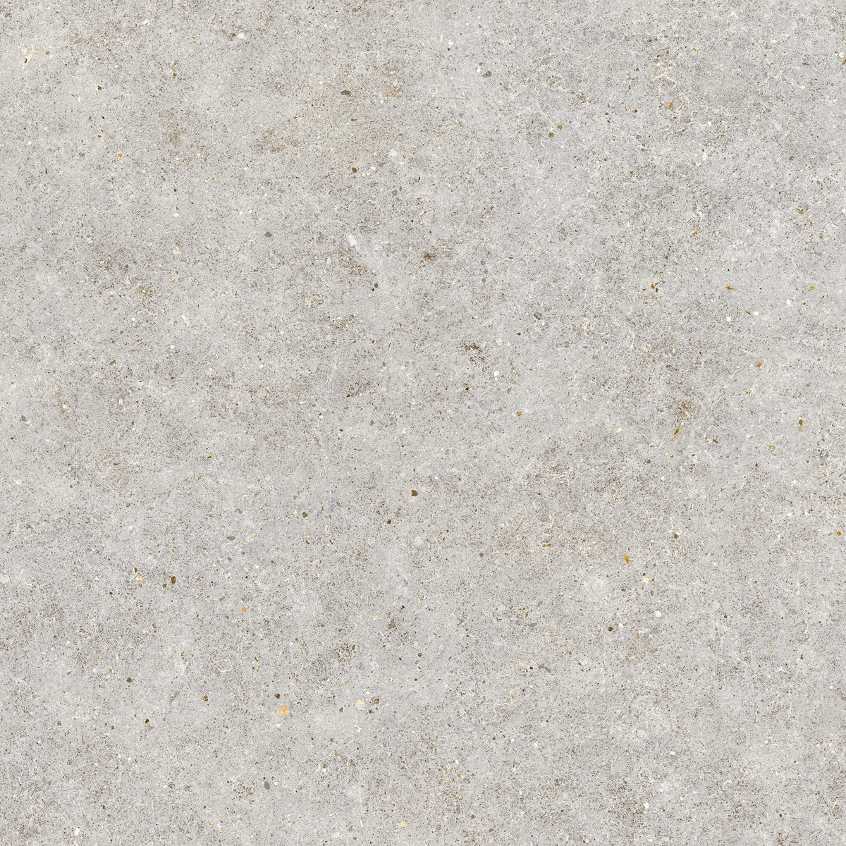Carrelage effet Pierre Calcaire Gris Galet 80x80x0,9 cm Mat Domella - Sol et mur intérieur