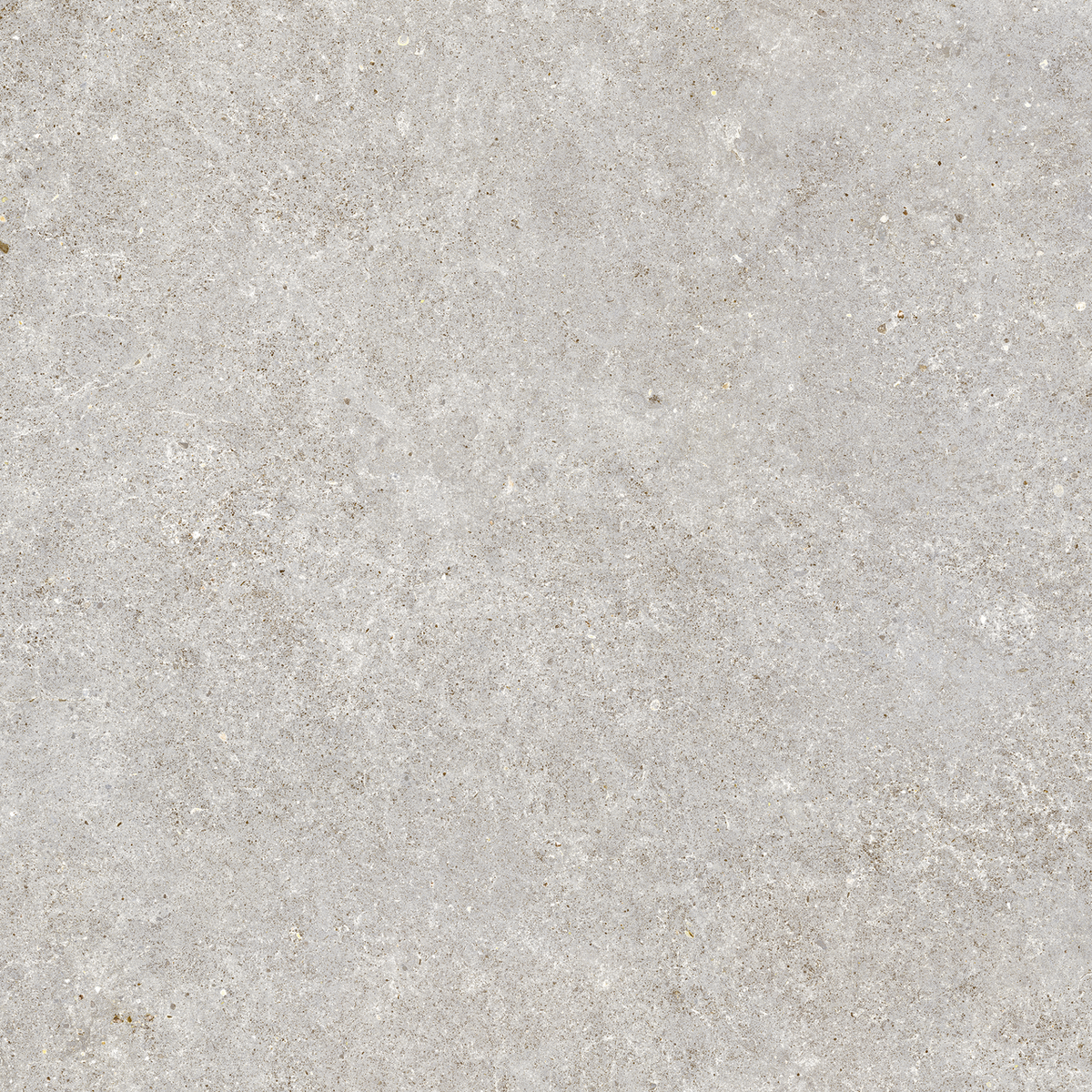 Carrelage effet Pierre Calcaire Gris Galet 80x80x0,9 cm Mat Domella - Sol et mur intérieur