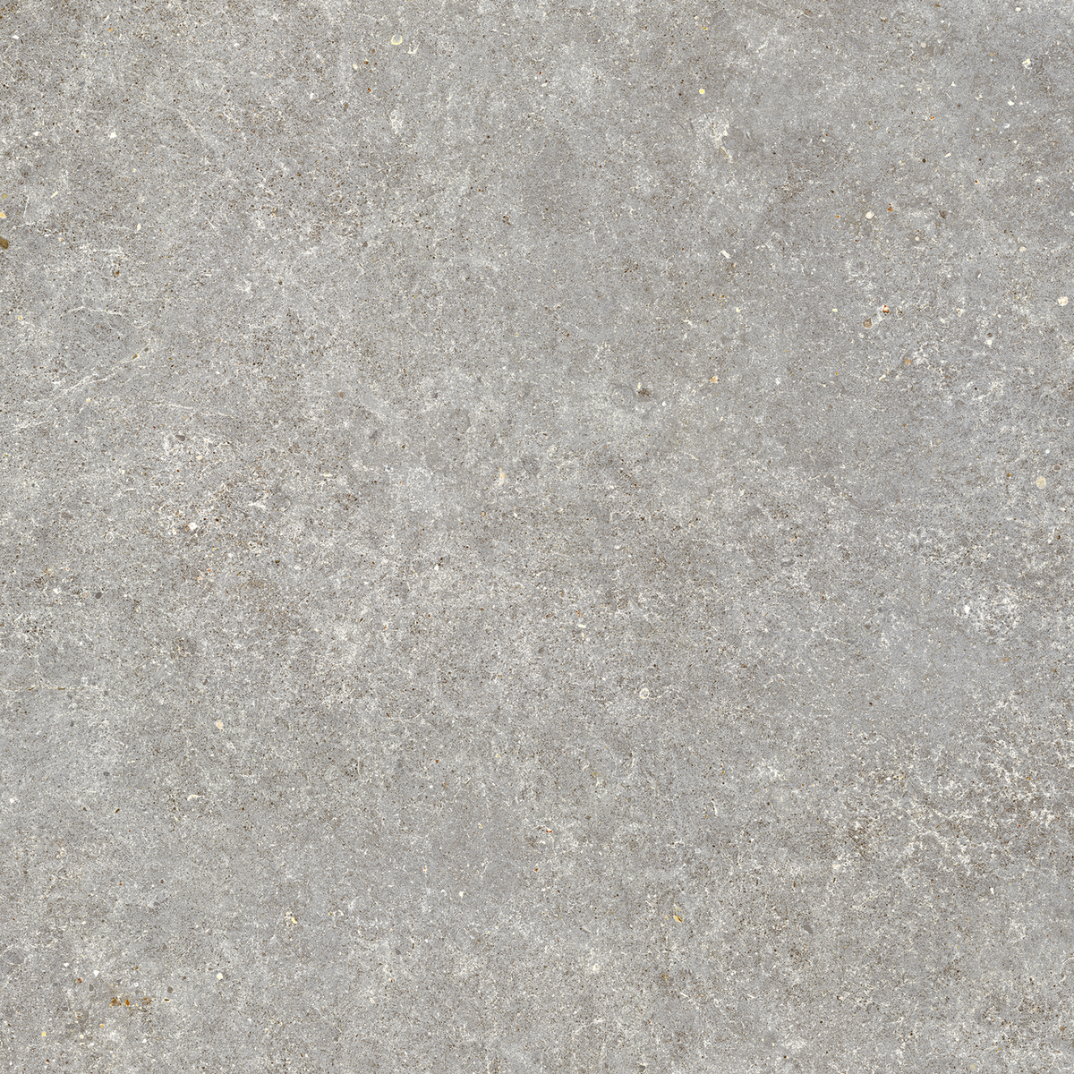 Carrelage effet Pierre Calcaire Gris Cendré 80x80x0,9 cm Mat Domella - Sol et mur intérieur