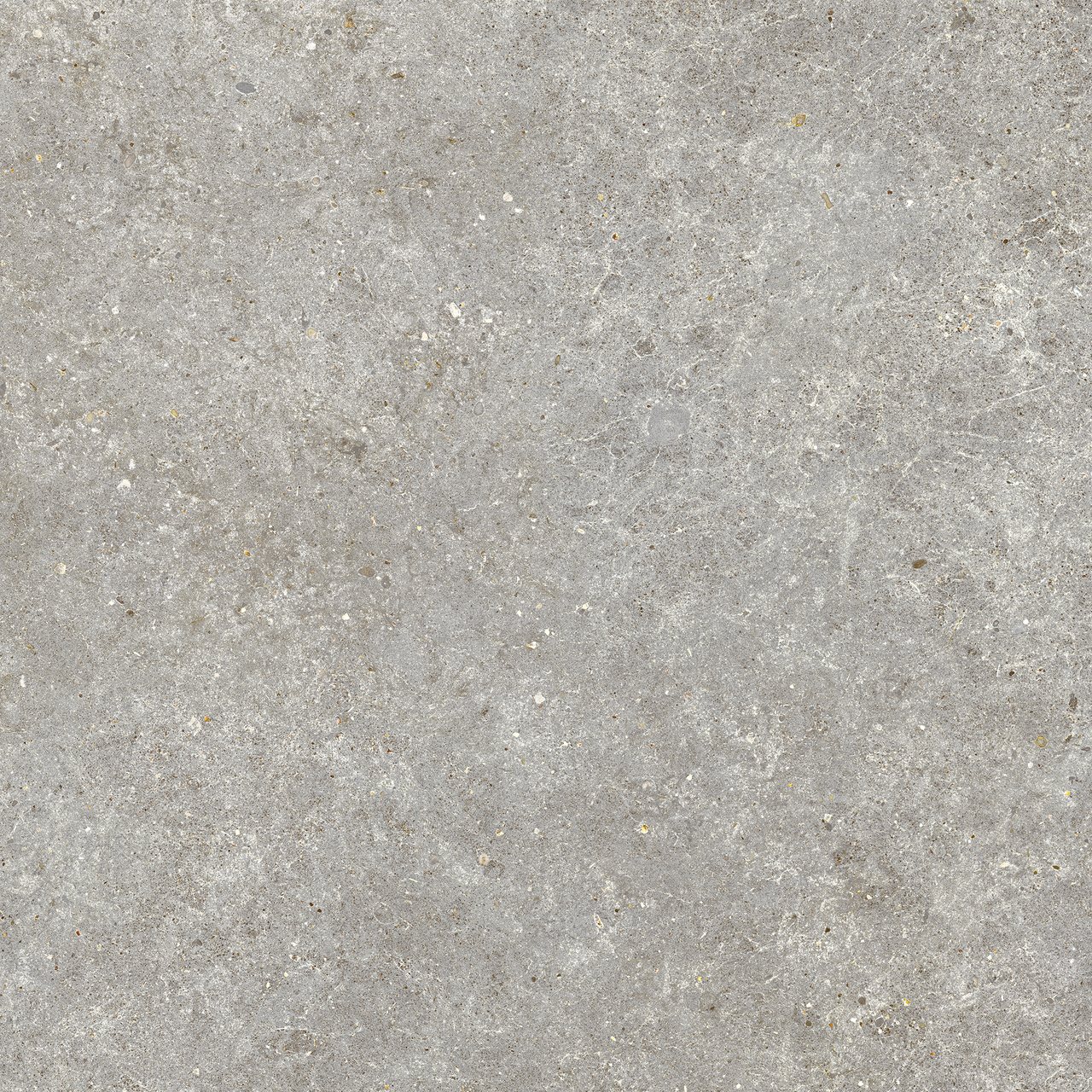 Carrelage effet Pierre Calcaire Gris Cendré 80x80x0,9 cm Mat Domella - Sol et mur intérieur