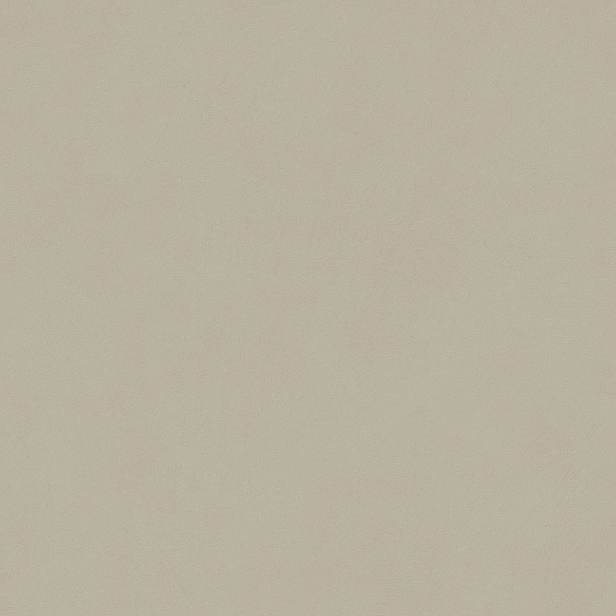 Carrelage effet Béton Gris Taupe 80x80x0,9 cm Mat Talvoro - Sol et mur intérieur