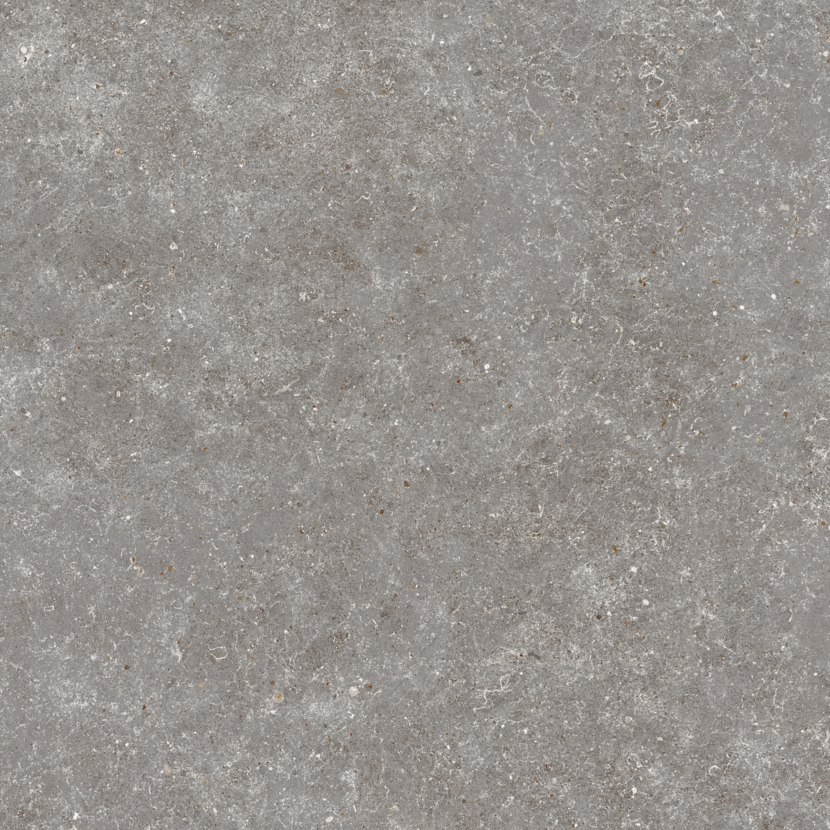 Carrelage effet Pierre Calcaire Gris Fumé 80x80x0,9 cm Mat Domella - Sol et mur intérieur