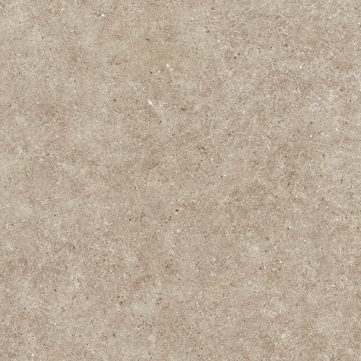 Carrelage effet Pierre Calcaire Grège 80x80x0,9 cm Mat Domella - Sol et mur intérieur