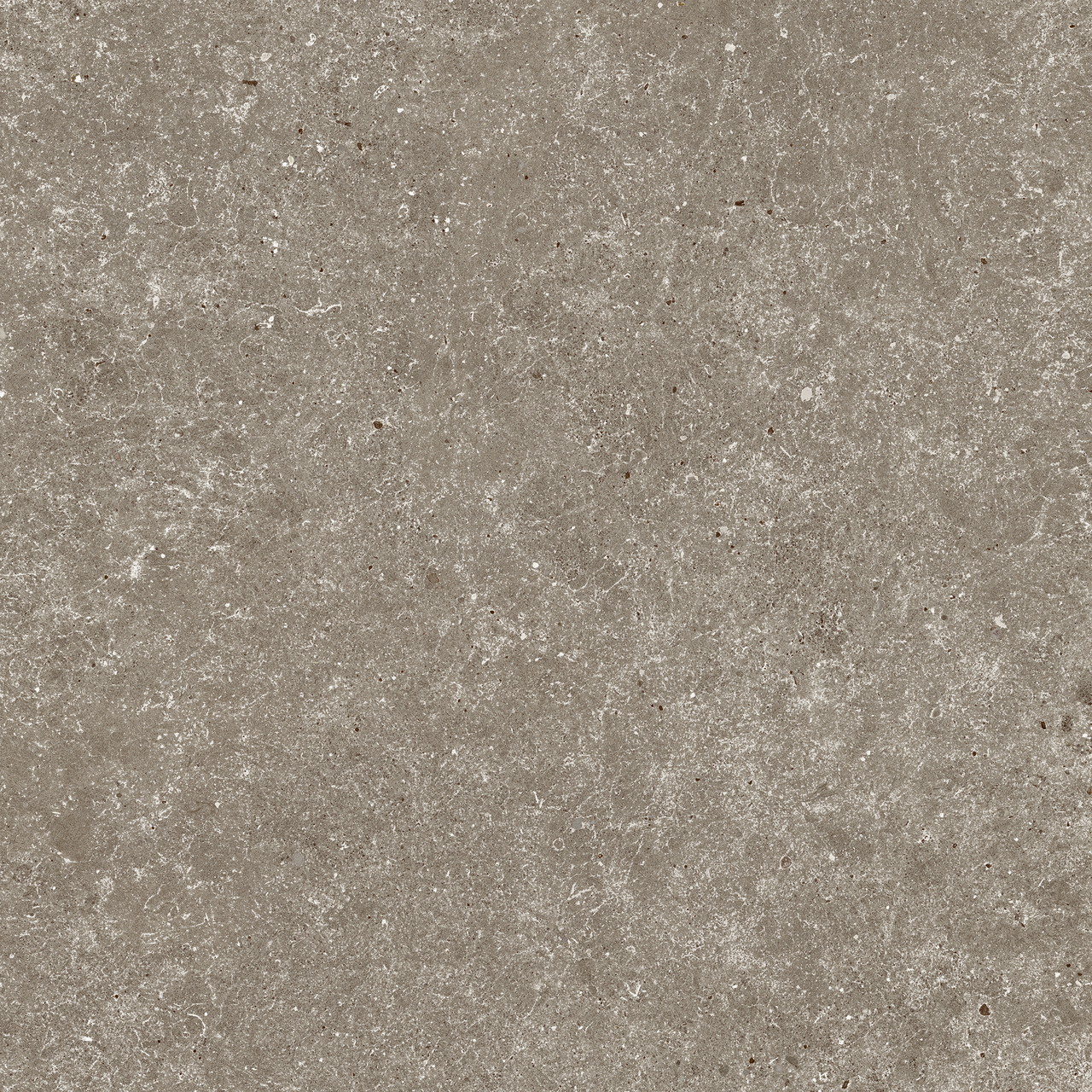 Carrelage effet Pierre Calcaire Gris Taupe 80x80x0,9 cm Mat Domella - Sol et mur intérieur