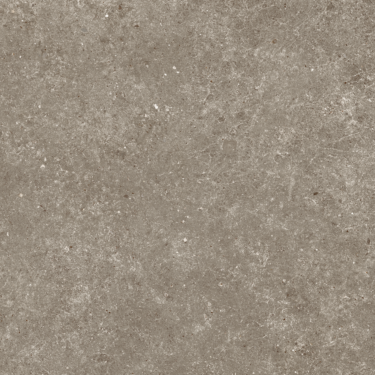 Carrelage effet Pierre Calcaire Gris Taupe 80x80x0,9 cm Mat Domella - Sol et mur intérieur