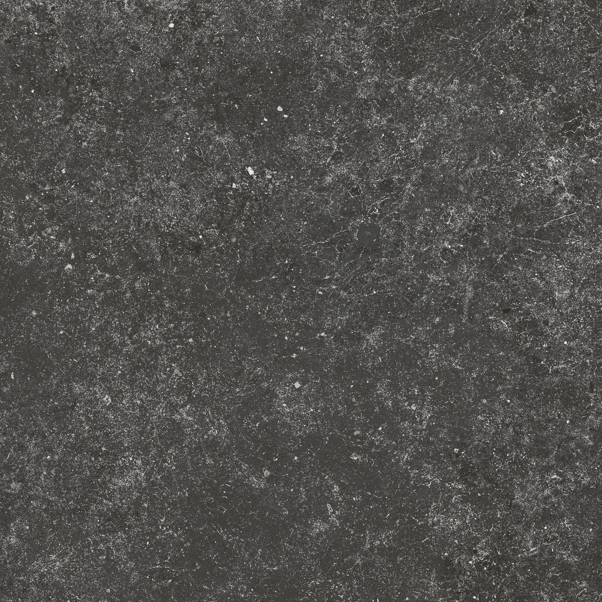 Carrelage effet Pierre Calcaire Gris Carbone 80x80x0,9 cm Mat Domella - Sol et mur intérieur