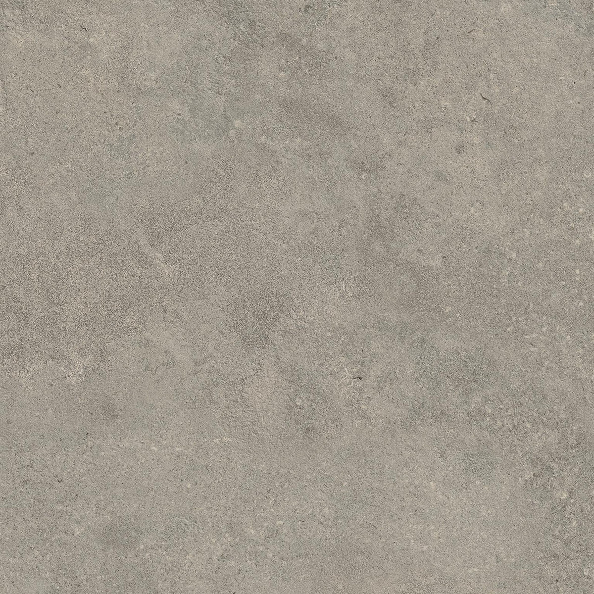 Carrelage effet Pierre Calcaire Gris Cendré 60x60x0,9 cm Mat Rocalta - Sol et mur intérieur