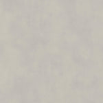 Carrelage effet Béton Gris Brume 120x120x0,9 cm Mat Montera - Sol et mur intérieur