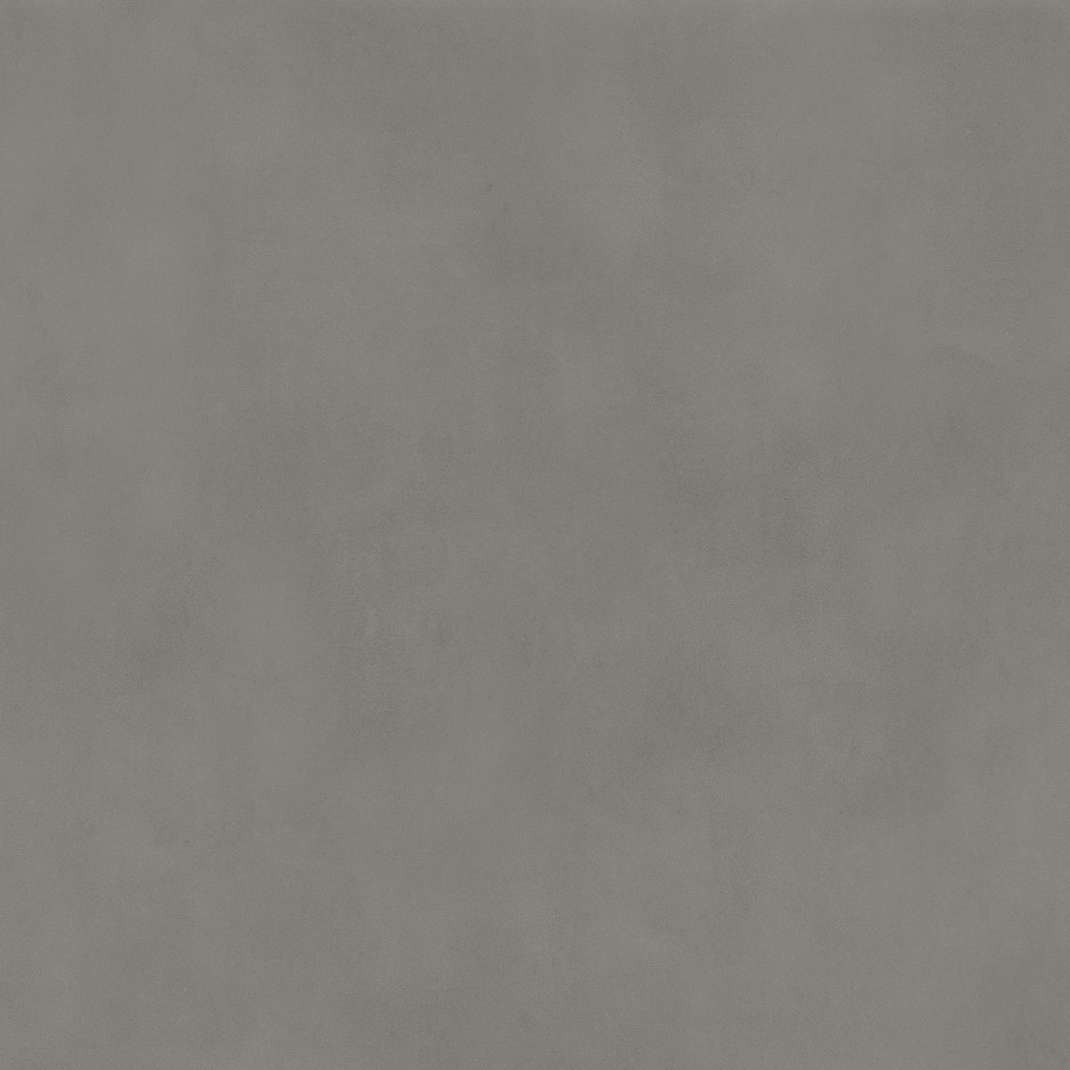Carrelage effet Béton Gris Ombre 120x120x0,9 cm Velours Montera - Sol et mur intérieur