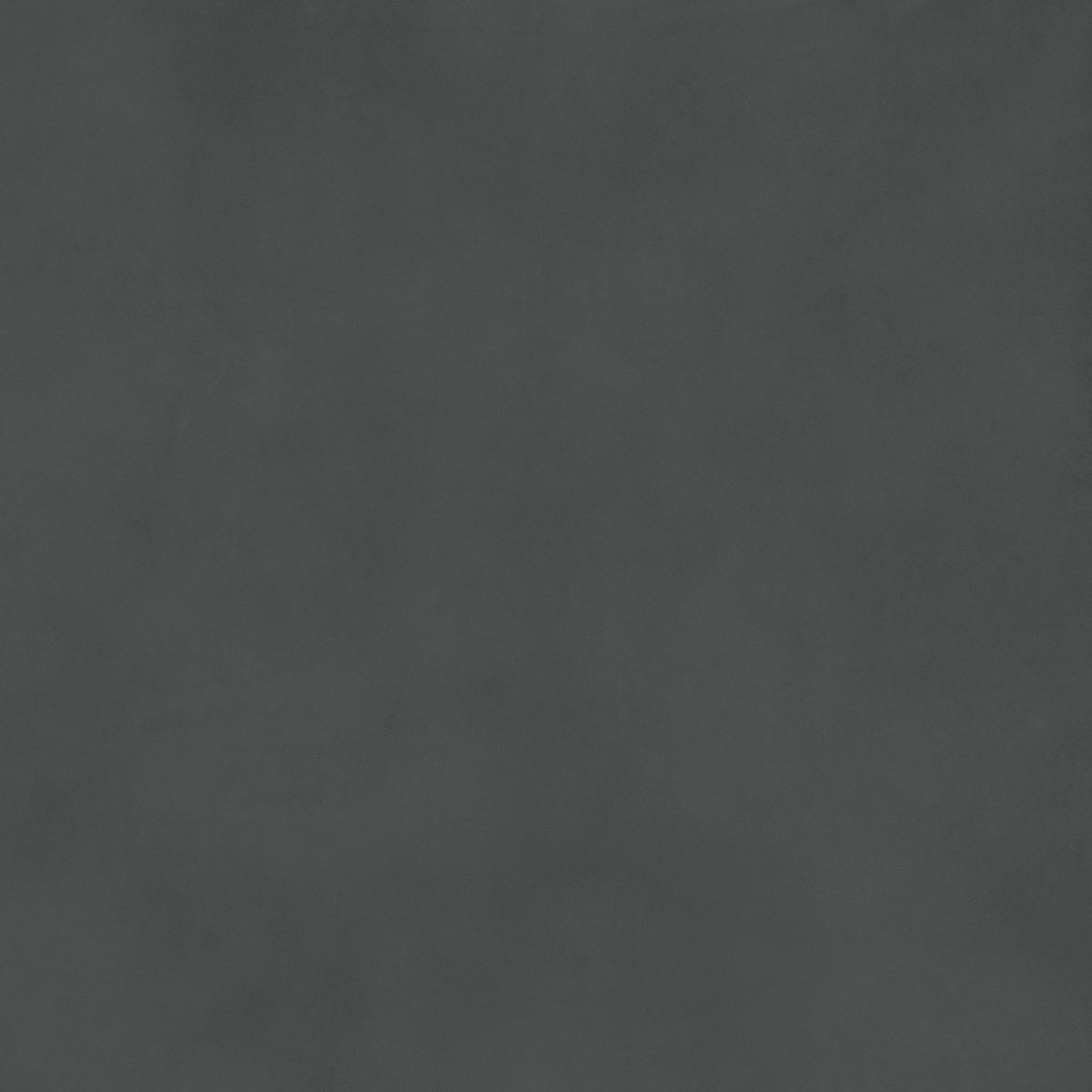 Carrelage effet Béton Gris Nuit 120x120x0,9 cm Velours Montera - Sol et mur intérieur