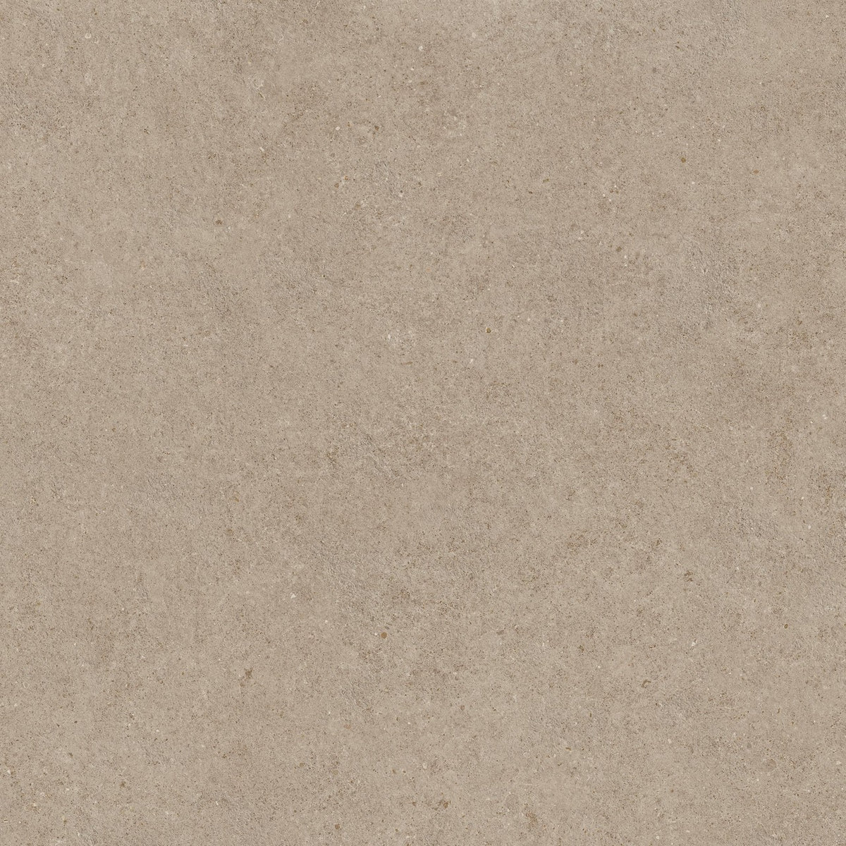 Carrelage effet Pierre Calcaire Grège 120x120x0,9 cm Mat Domella - Sol et mur intérieur