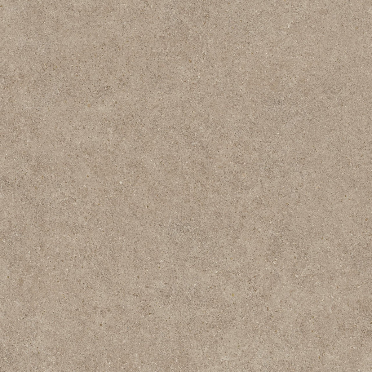 Carrelage effet Pierre Calcaire Grège 120x120x2 cm Domella - Sol extérieur