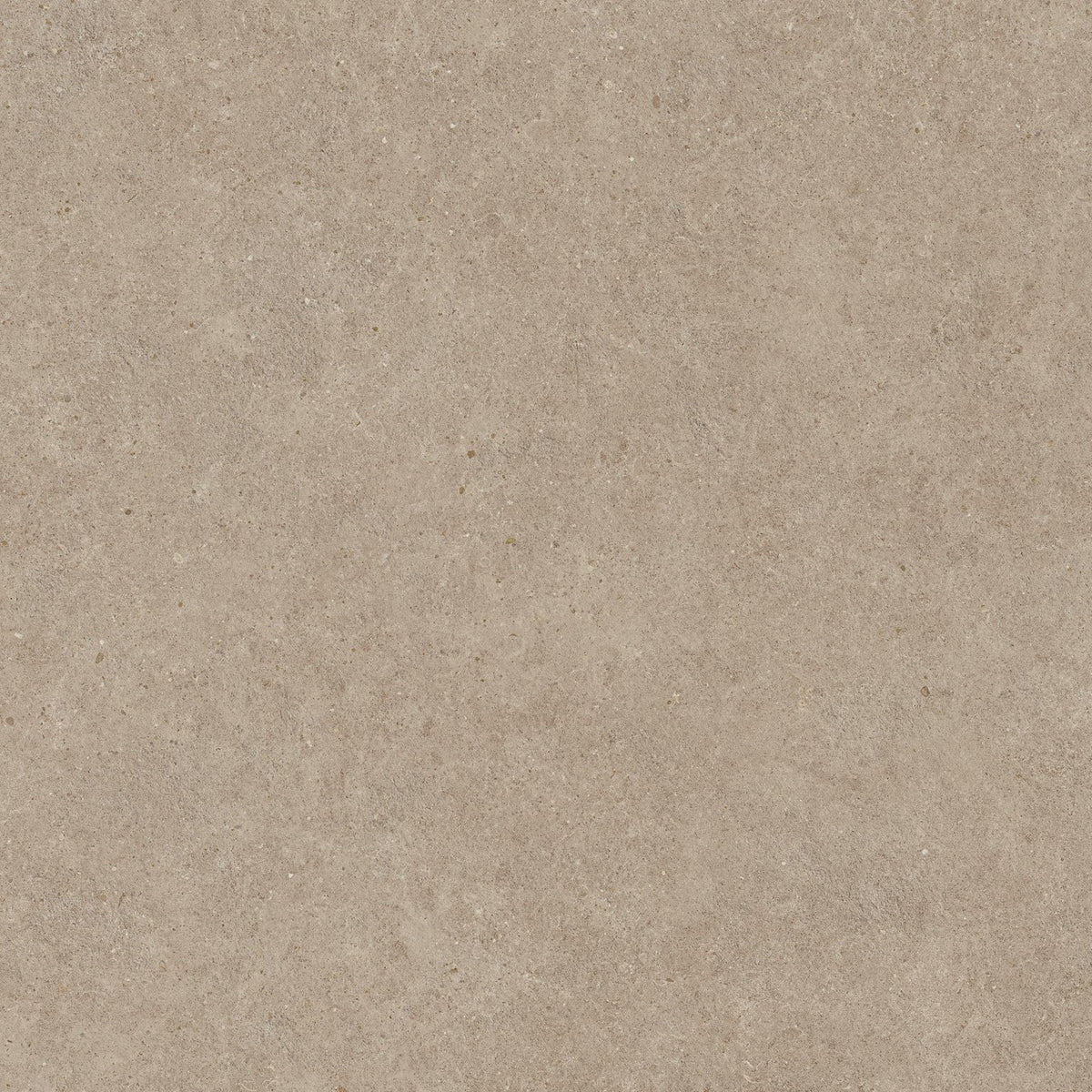 Carrelage effet Pierre Calcaire Grège 120x120x2 cm Domella - Sol extérieur