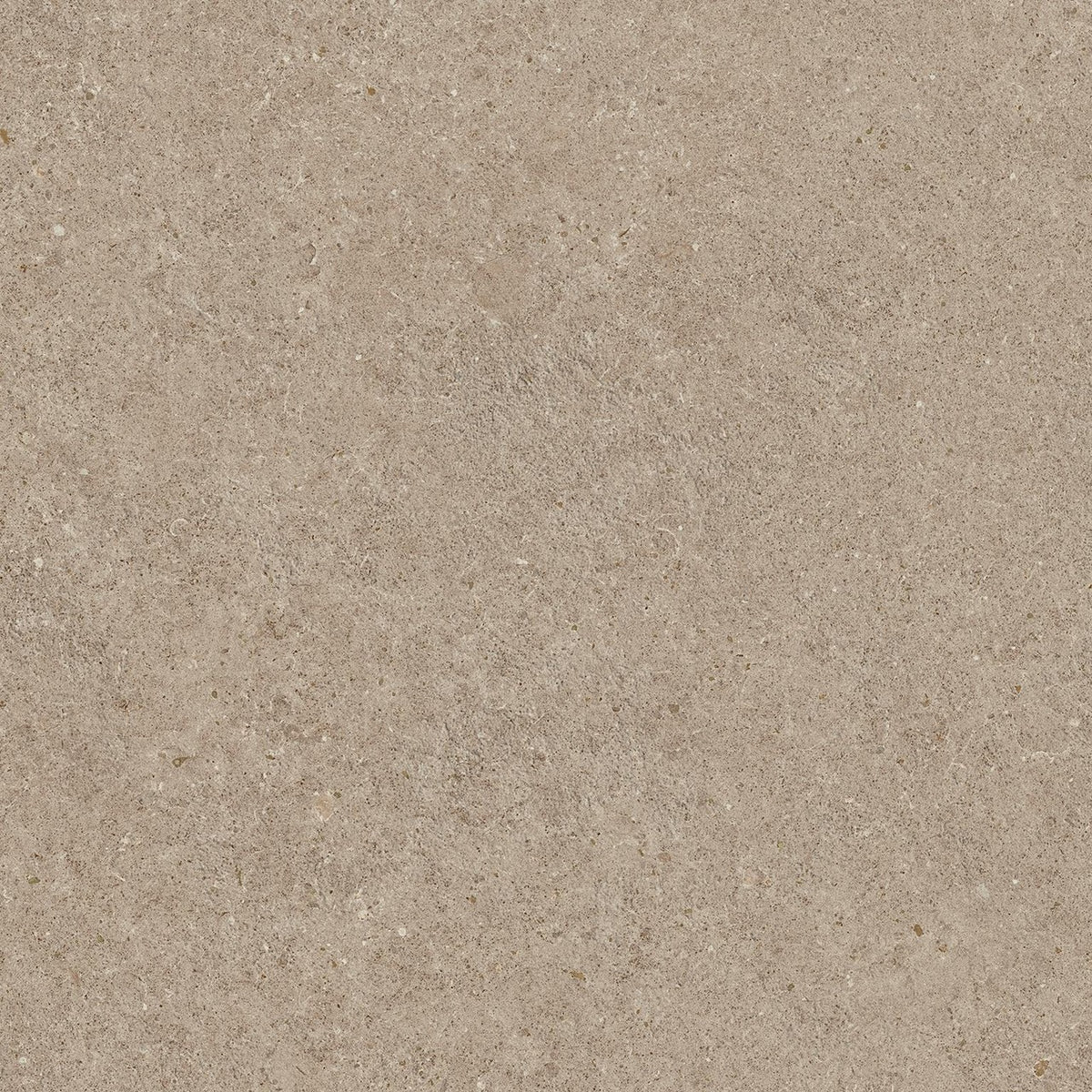 Carrelage effet Pierre Calcaire Grège 60x60x0,9 cm Mat Domella - Sol et mur intérieur