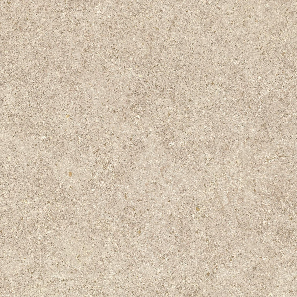 Carrelage effet Pierre Calcaire Beige Sable 60x60x0,9 cm Mat Domella - Sol et mur intérieur