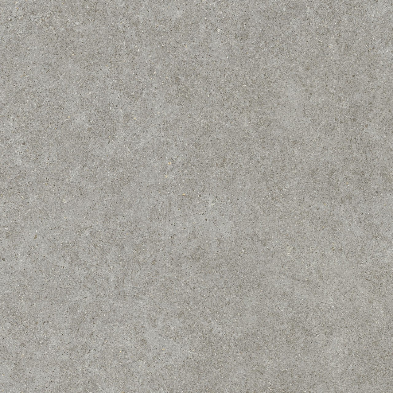 Carrelage effet Pierre Calcaire Gris Cendré 120x120x0,9 cm Mat Domella - Sol et mur intérieur