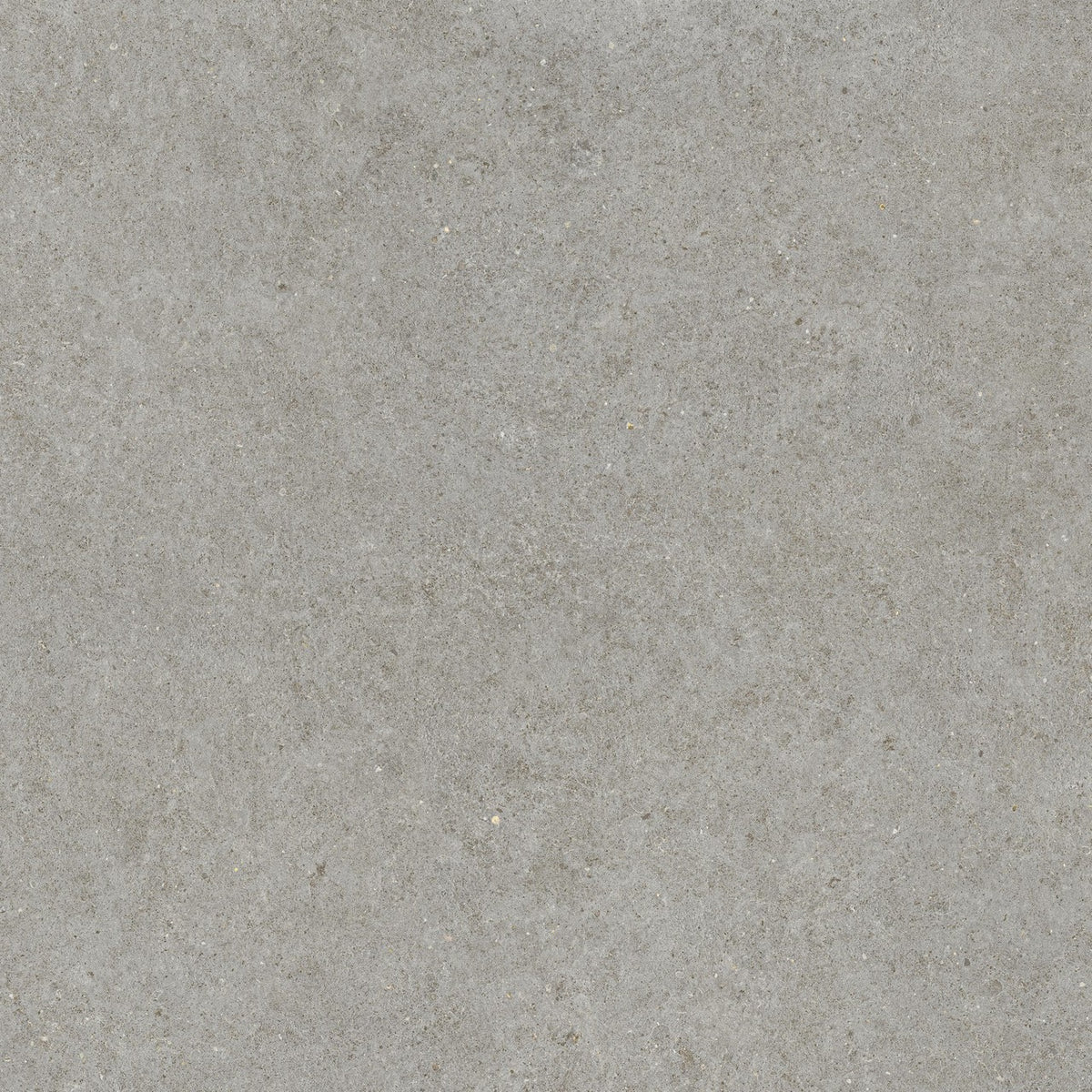 Carrelage effet Pierre Calcaire Gris Cendré 120x120x0,9 cm Mat Domella - Sol et mur intérieur