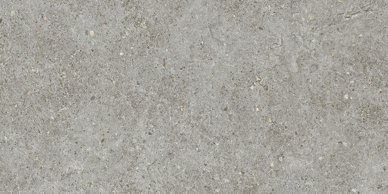 Carrelage effet Pierre Calcaire Gris Cendré 60x30x0,9 cm Mat Domella - Sol et mur intérieur