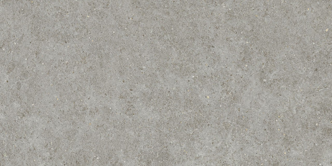 Carrelage effet Pierre Calcaire Gris Cendré 120x60x0,9 cm Mat Domella - Sol et mur intérieur