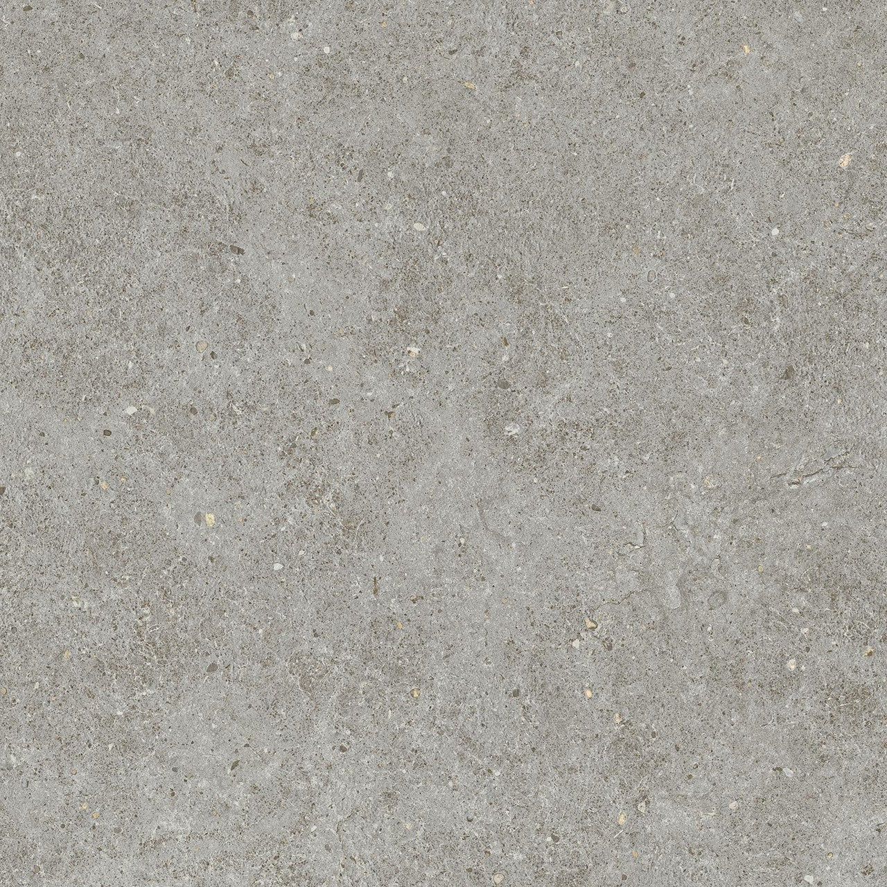 Carrelage effet Pierre Calcaire Gris Cendré 60x60x0,9 cm Mat Domella - Sol et mur intérieur
