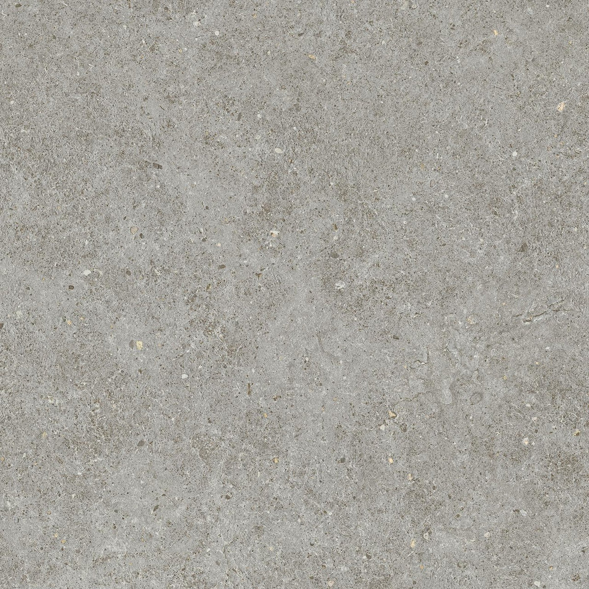 Carrelage effet Pierre Calcaire Gris Cendré 60x60x0,9 cm Mat Domella - Sol et mur intérieur