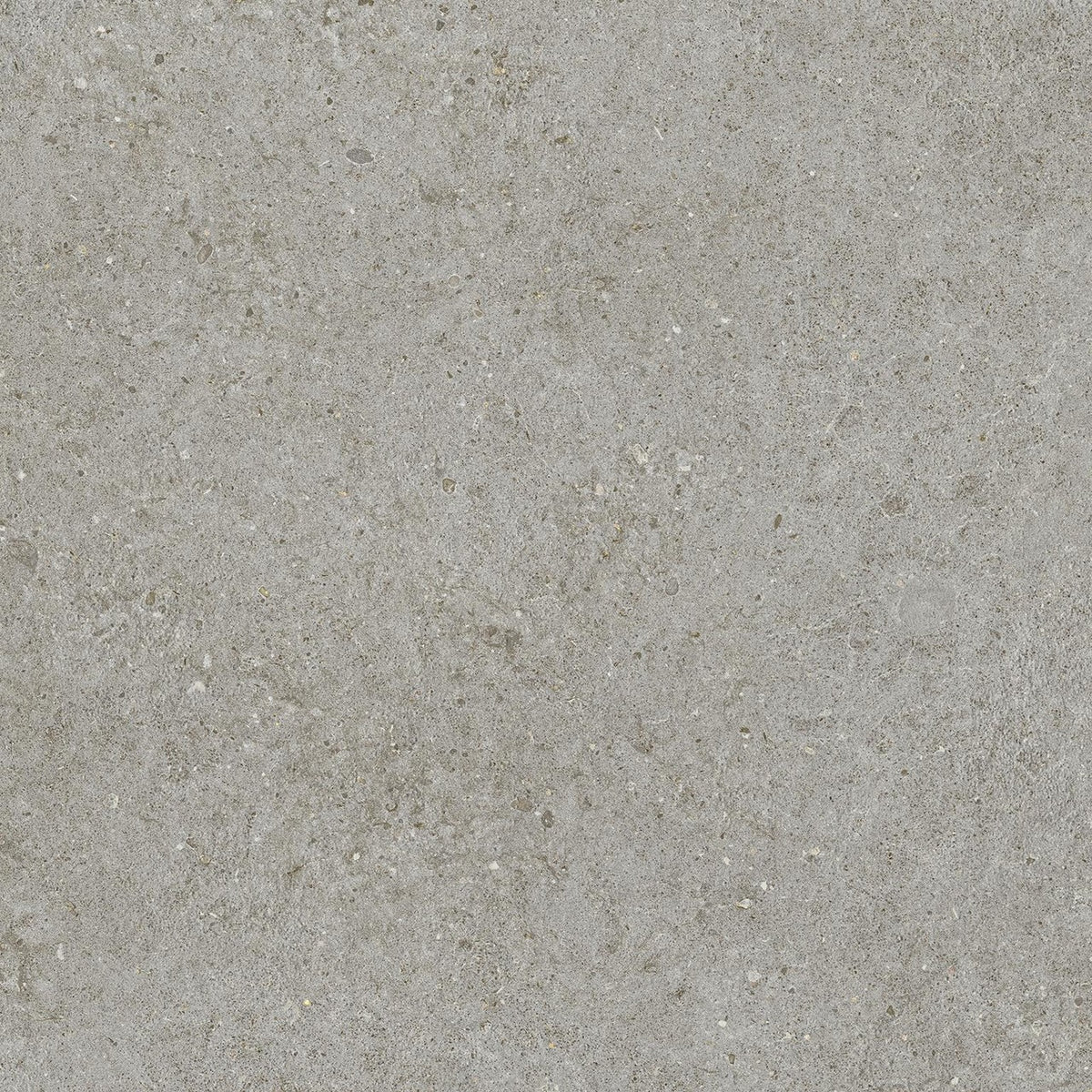 Carrelage effet Pierre Calcaire Gris Cendré 60x60x2 cm Domella - Sol extérieur