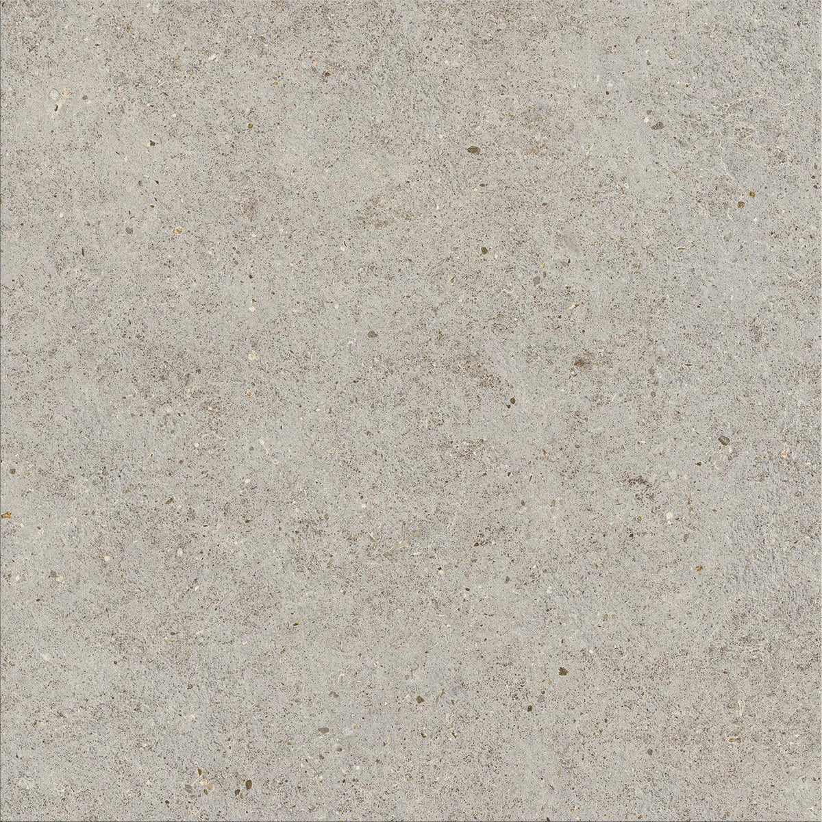 Carrelage effet Pierre Calcaire Gris Galet 60x60x0,9 cm Mat Domella - Sol et mur intérieur