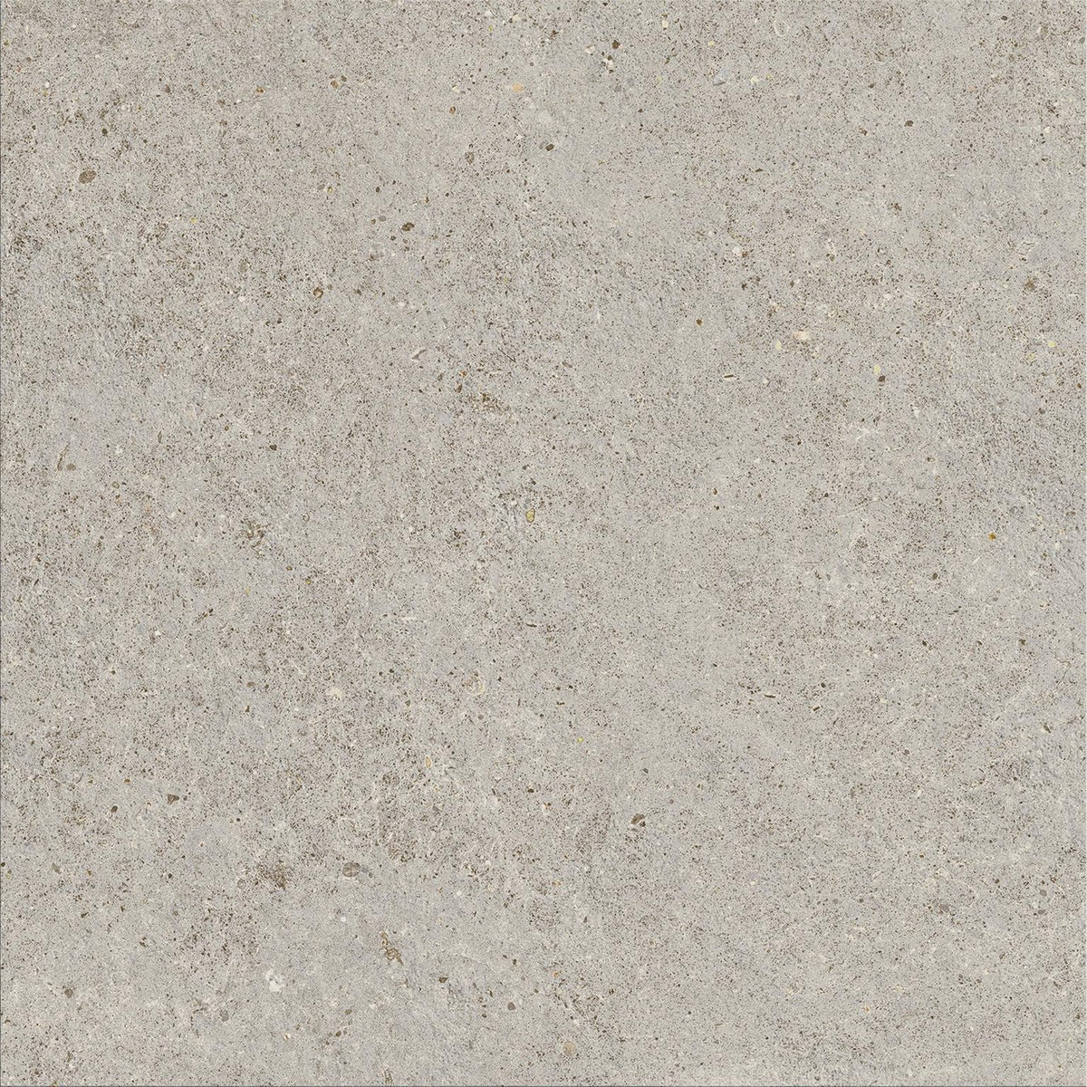 Carrelage effet Pierre Calcaire Gris Galet 60x60x0,9 cm Mat Domella - Sol et mur intérieur