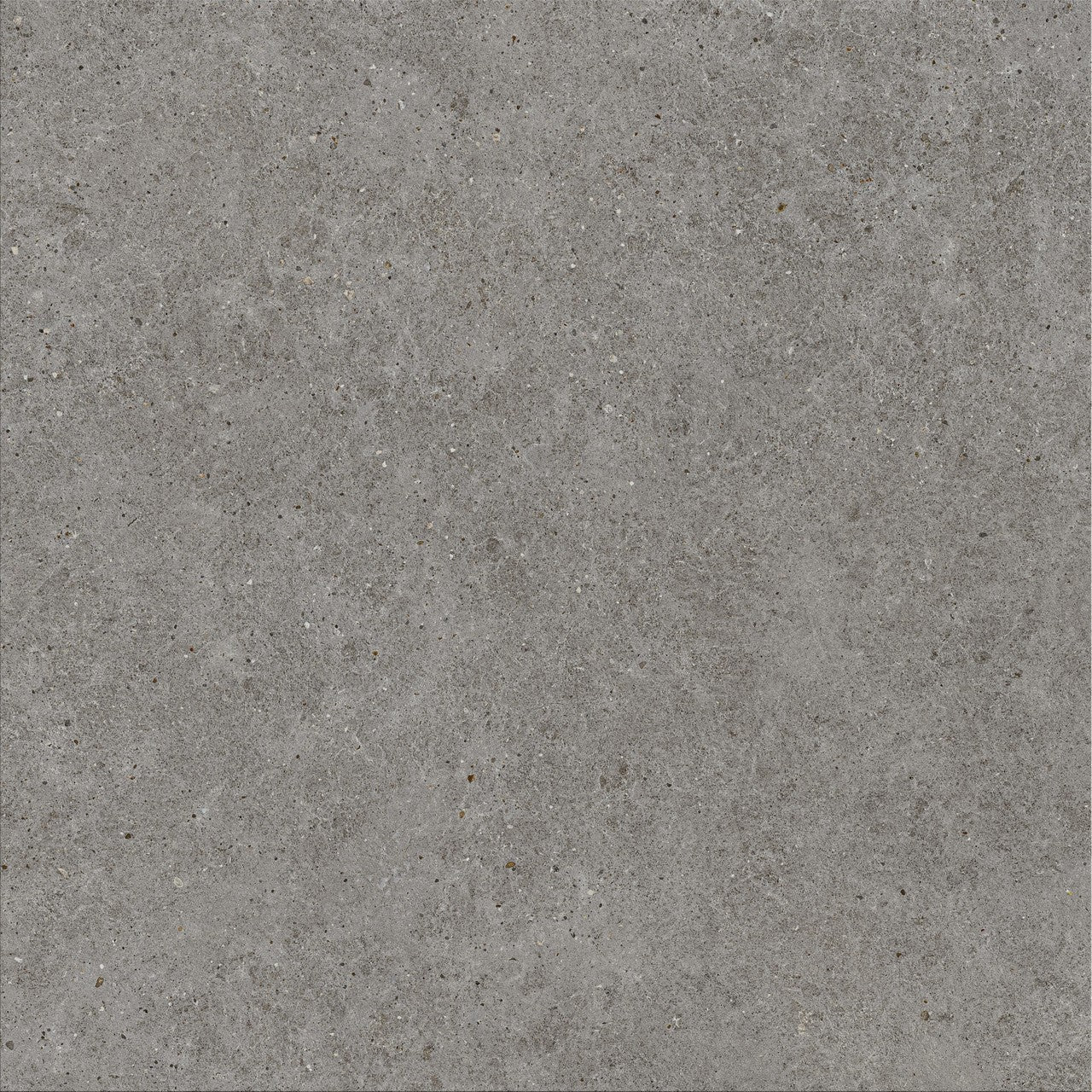 Carrelage effet Pierre Calcaire Gris Fumé 120x120x0,9 cm Mat Domella - Sol et mur intérieur