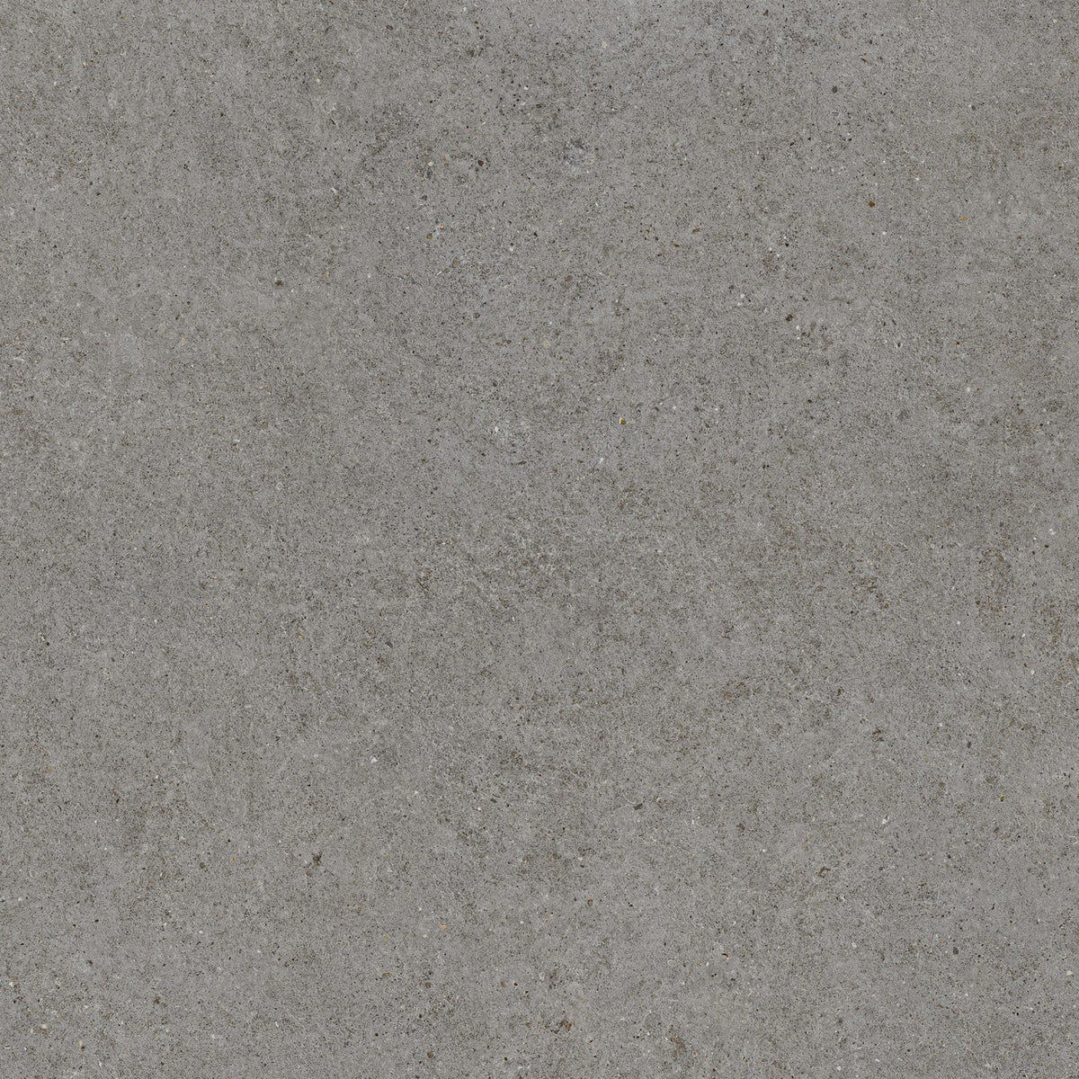Carrelage effet Pierre Calcaire Gris Fumé 120x120x0,9 cm Mat Domella - Sol et mur intérieur