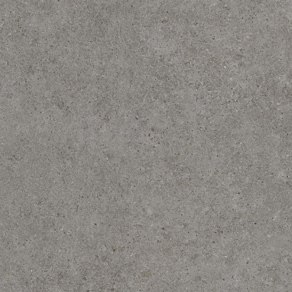 Carrelage effet Pierre Calcaire Gris Fumé 120x120x2 cm Domella - Sol extérieur