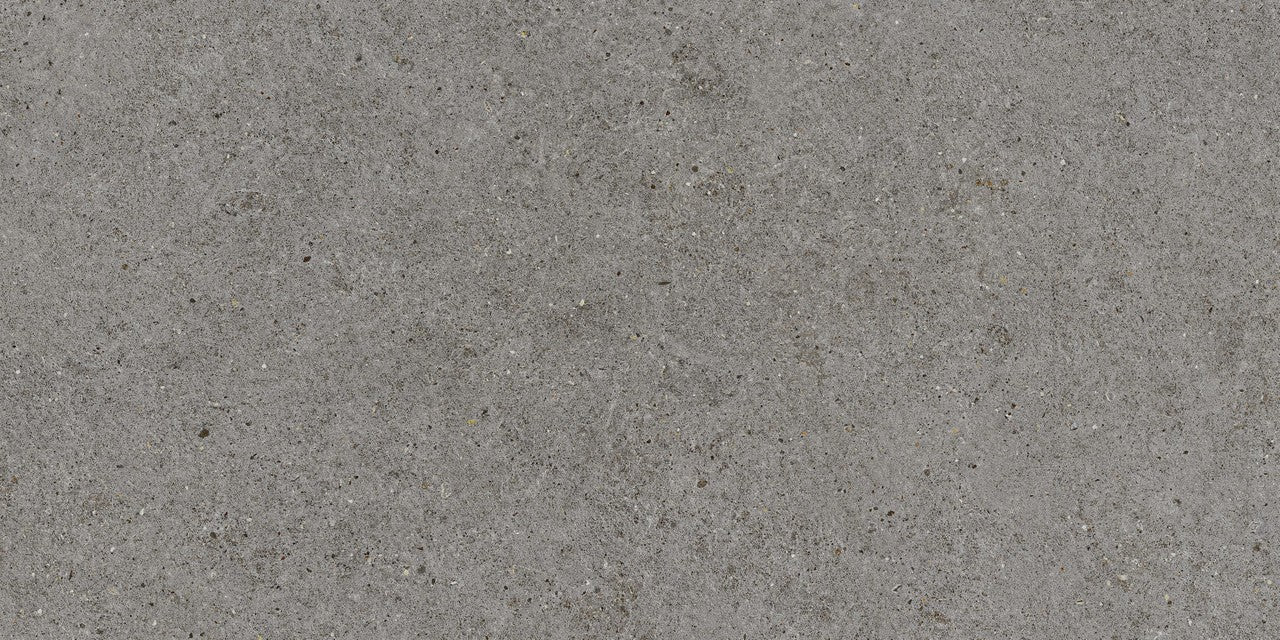 Carrelage effet Pierre Calcaire Gris Fumé 120x60x0,9 cm Mat Domella - Sol et mur intérieur