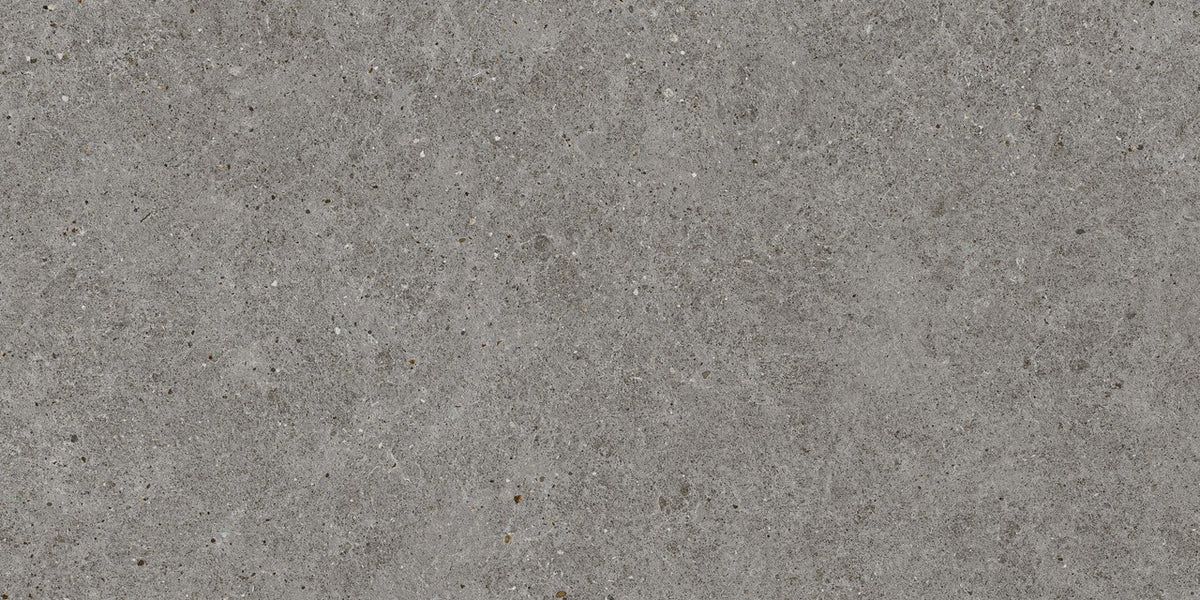 Carrelage effet Pierre Calcaire Gris Fumé 120x60x0,9 cm Mat Domella - Sol et mur intérieur