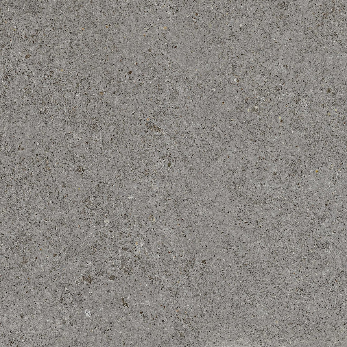 Carrelage effet Pierre Calcaire Gris Fumé 60x60x0,9 cm Mat Domella - Sol et mur intérieur
