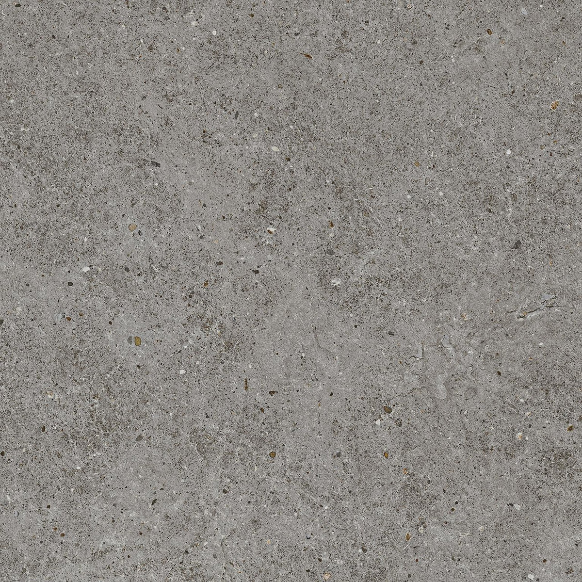Carrelage effet Pierre Calcaire Gris Fumé 60x60x0,9 cm Mat Domella - Sol et mur intérieur