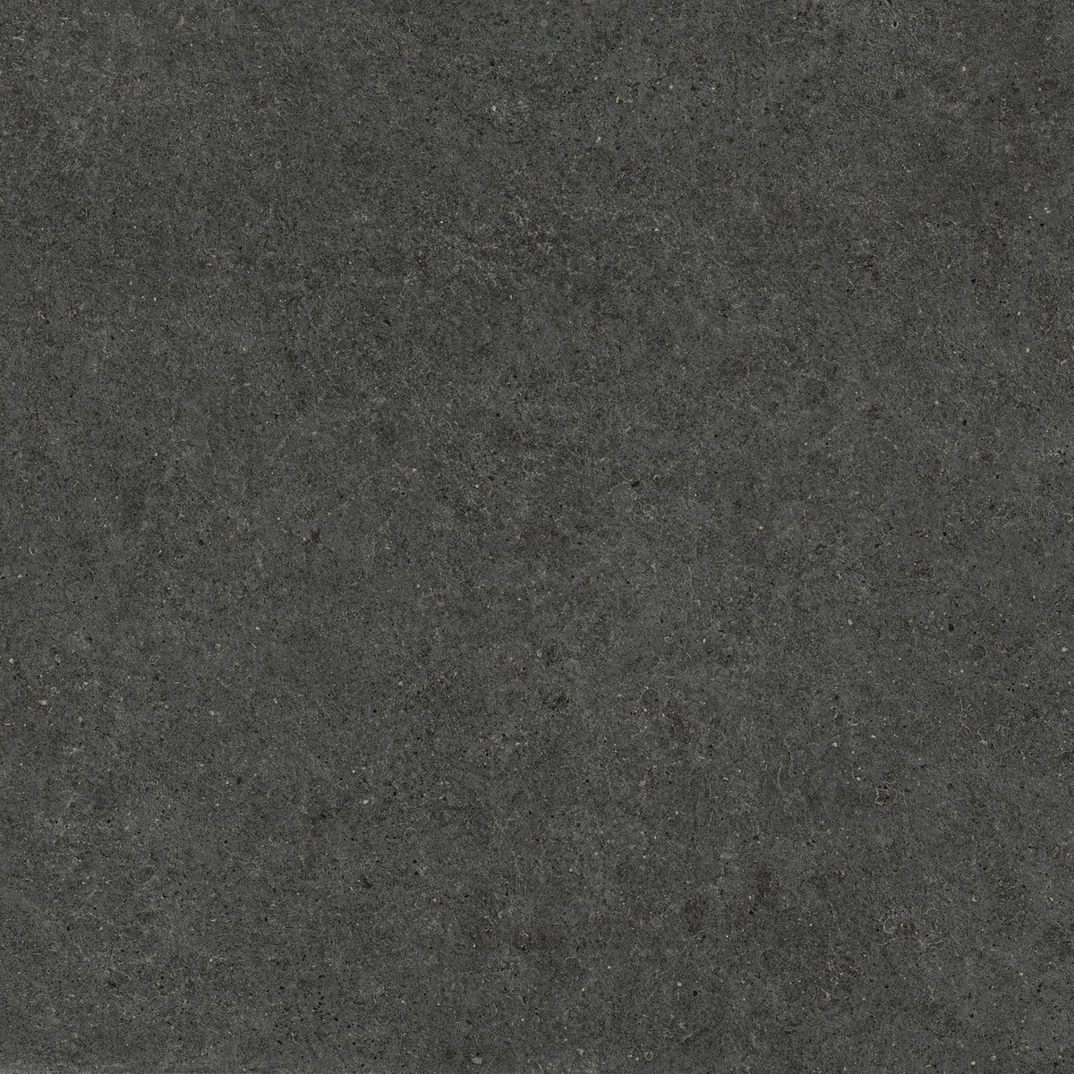 Carrelage effet Pierre Calcaire Gris Carbone 120x120x0,9 cm Mat Domella - Sol et mur intérieur