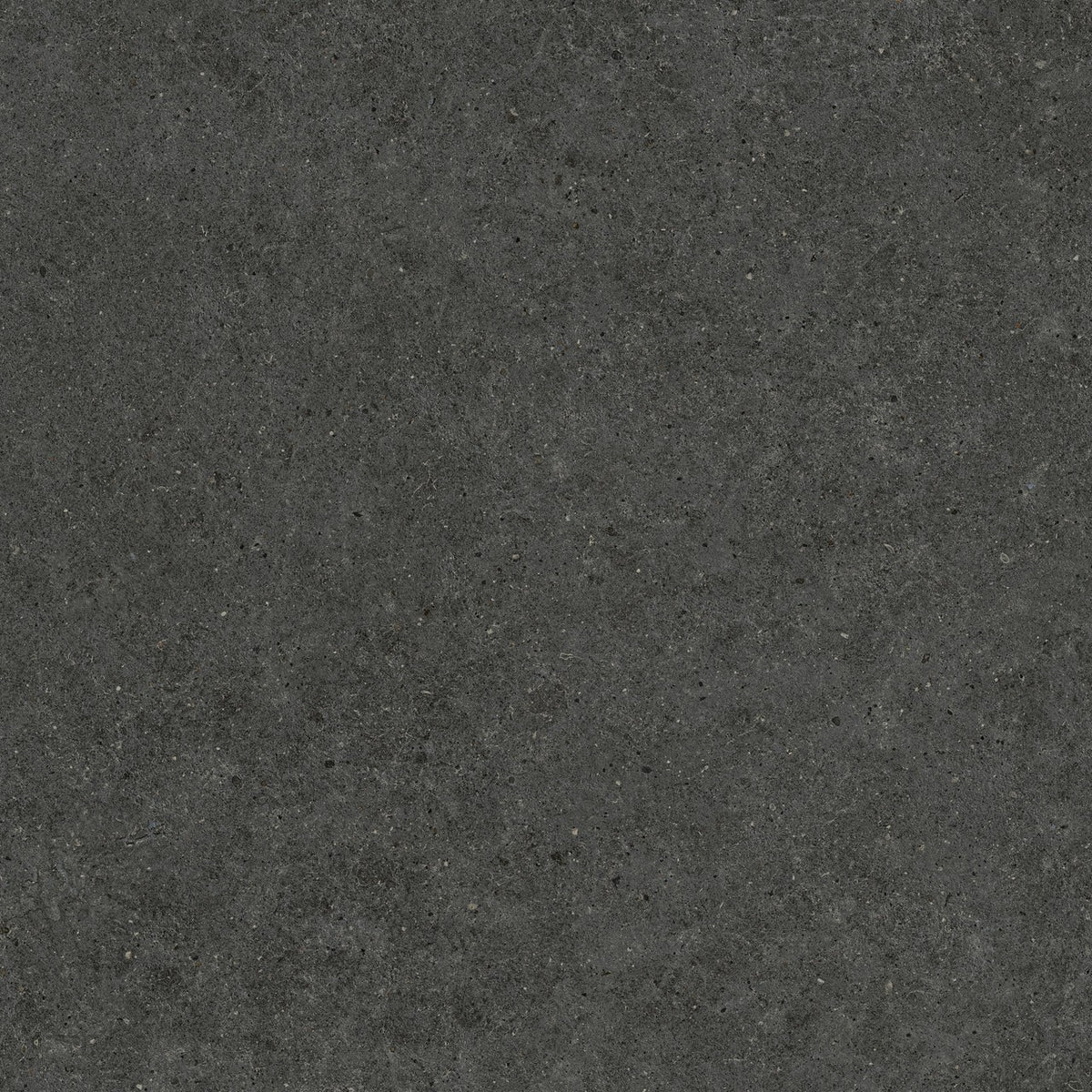 Carrelage effet Pierre Calcaire Gris Carbone 120x120x2 cm Domella - Sol extérieur
