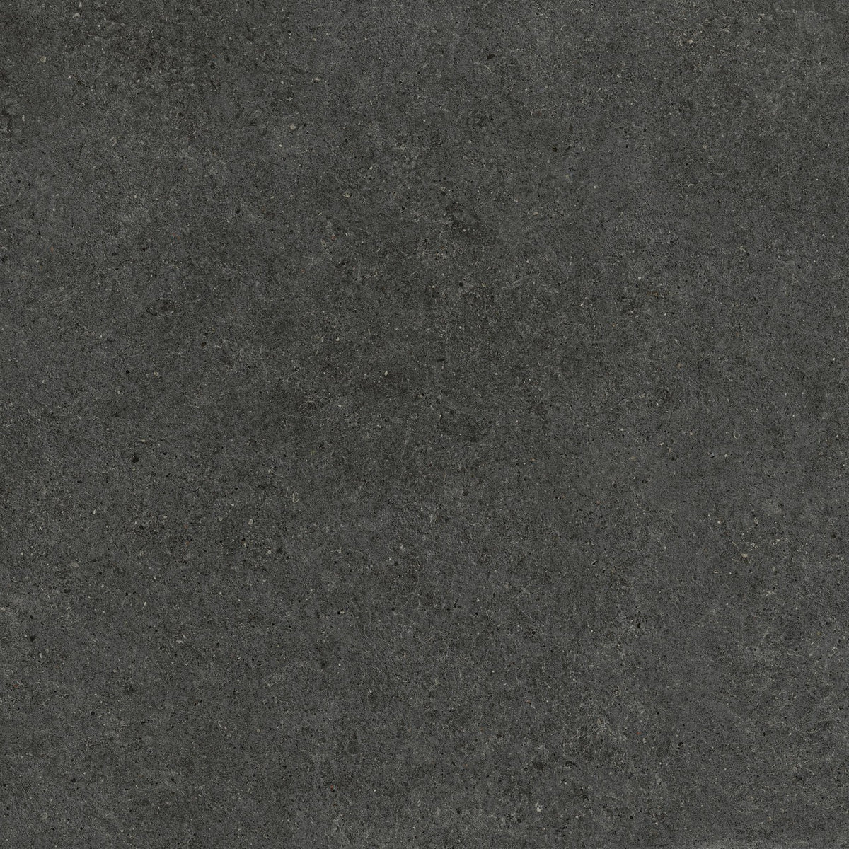 Carrelage effet Pierre Calcaire Gris Carbone 120x120x2 cm Domella - Sol extérieur