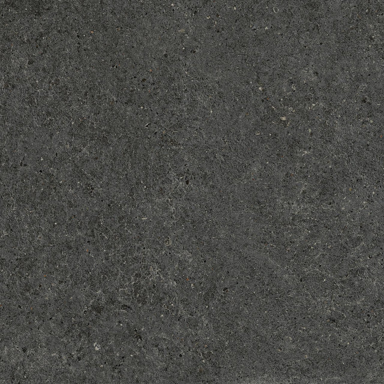 Carrelage effet Pierre Calcaire Gris Carbone 60x60x0,9 cm Mat Domella - Sol et mur intérieur