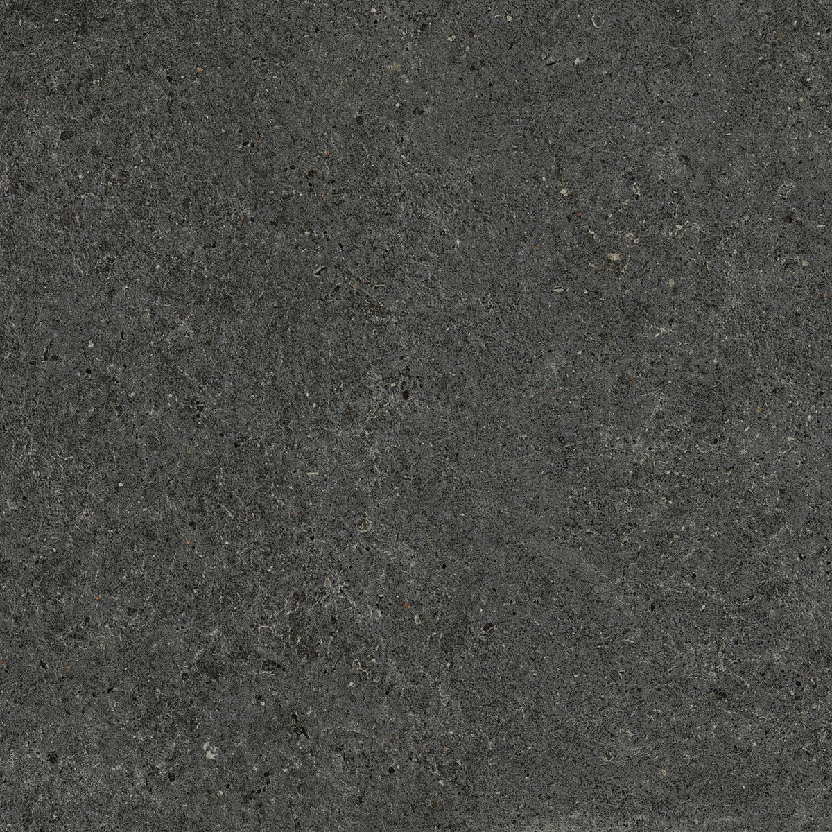Carrelage effet Pierre Calcaire Gris Carbone 60x60x0,9 cm Mat Domella - Sol et mur intérieur