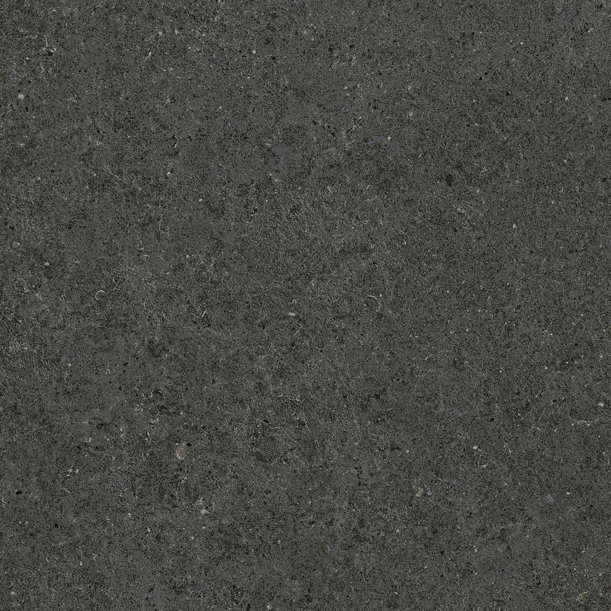 Carrelage effet Pierre Calcaire Gris Carbone 60x60x0,9 cm Mat Domella - Sol et mur intérieur