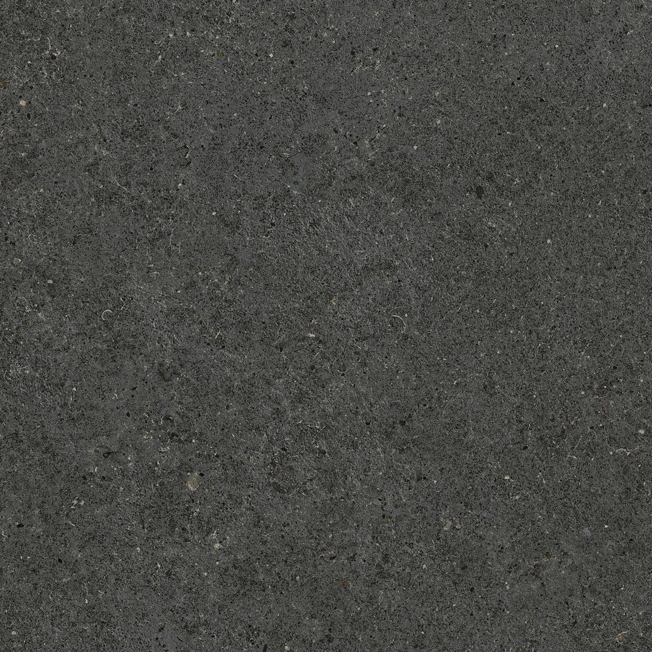 Carrelage effet Pierre Calcaire Gris Carbone 60x60x0,9 cm Mat Domella - Sol et mur intérieur