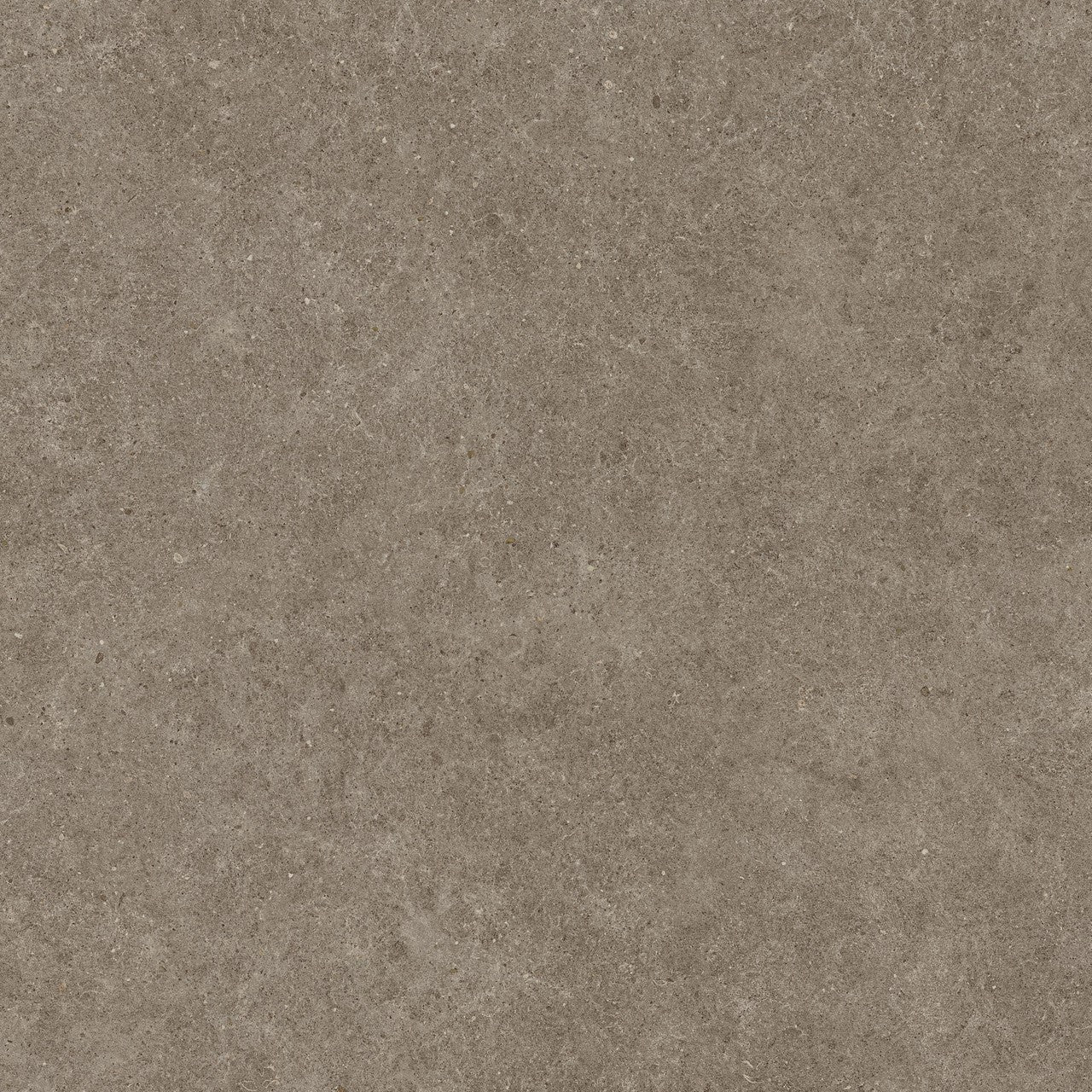 Carrelage effet Pierre Calcaire Gris Taupe 120x120x0,9 cm Mat Domella - Sol et mur intérieur