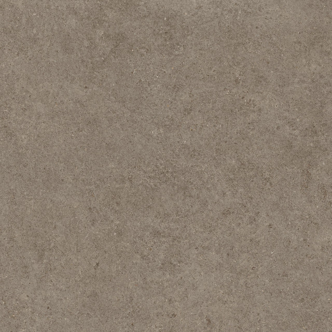 Carrelage effet Pierre Calcaire Gris Taupe 120x120x0,9 cm Mat Domella - Sol et mur intérieur